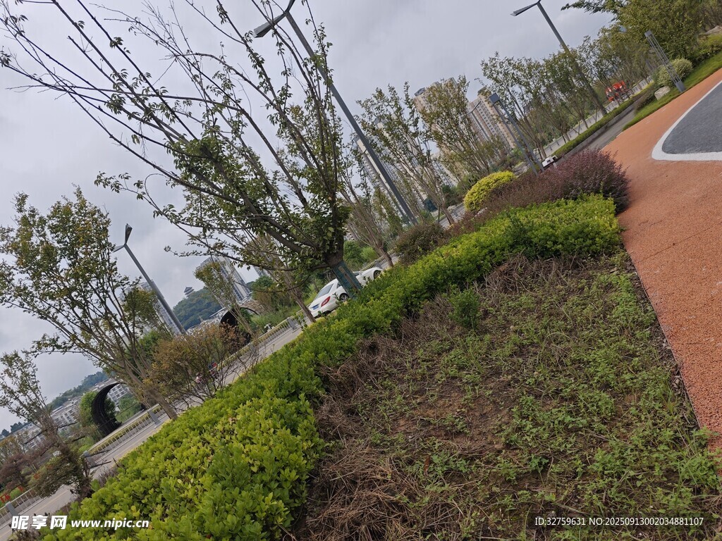 城市绿化带景观一角