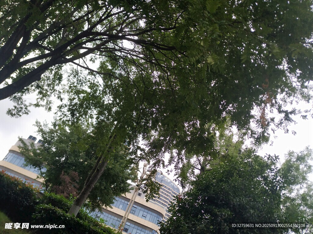 绿树掩映下的建筑一角