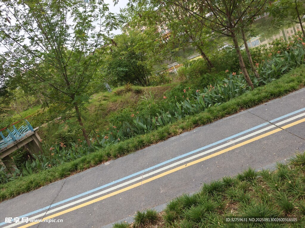 林间公路景观