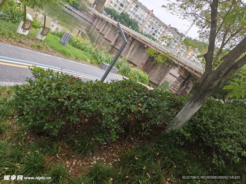 路边绿植景观