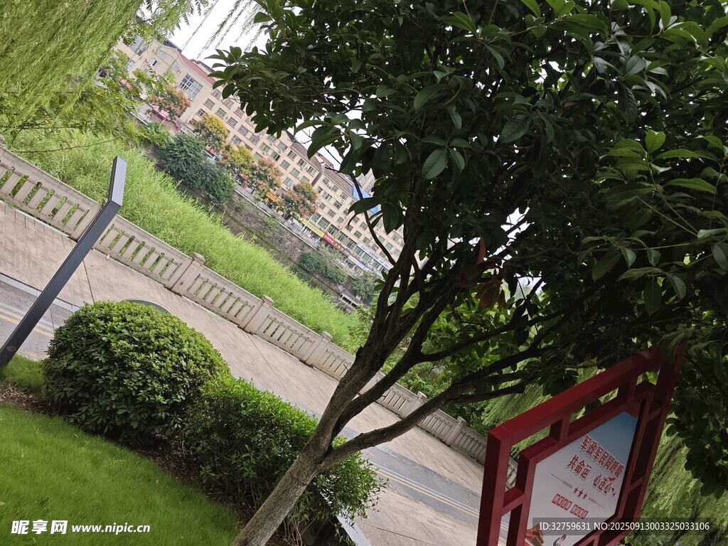 小区内绿意盎然的景致