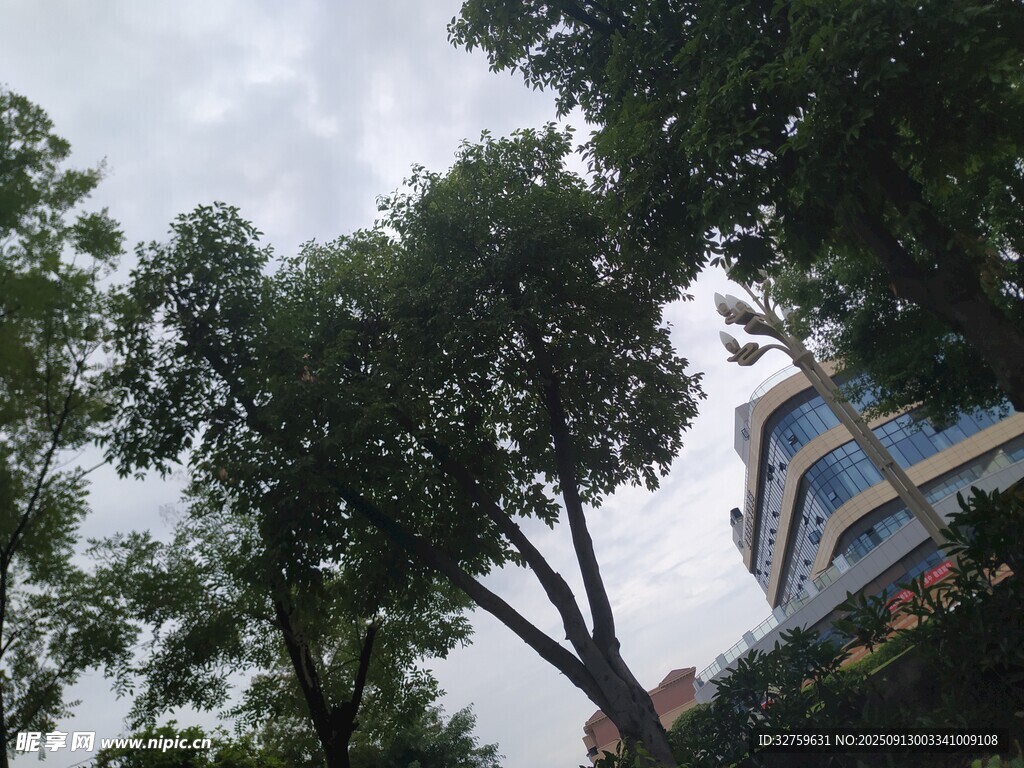 绿树掩映下的城市建筑