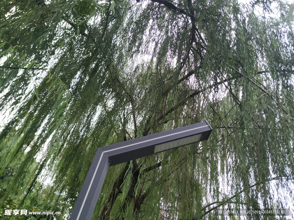 垂柳下的金属结构景观