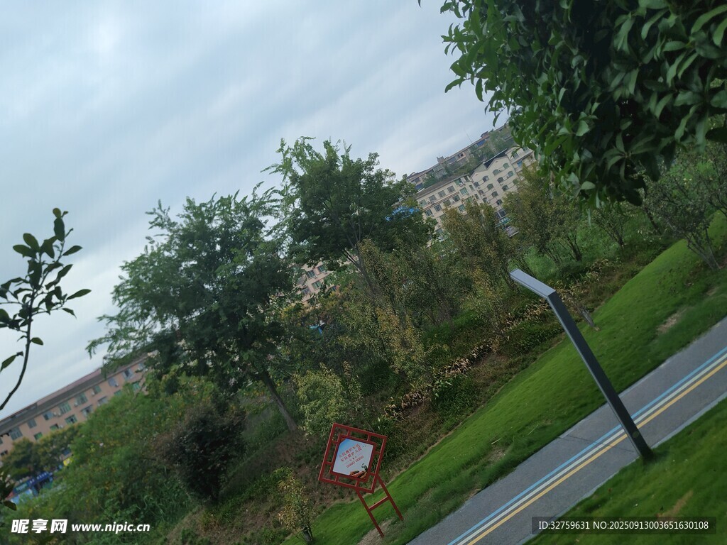 户外绿植景观场景
