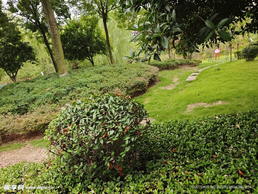 静谧园林绿植景观