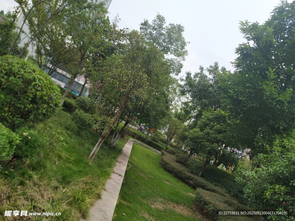 绿意盎然的林间小径