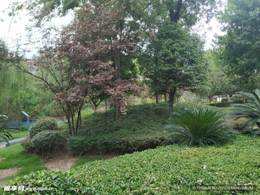 园林绿植景观