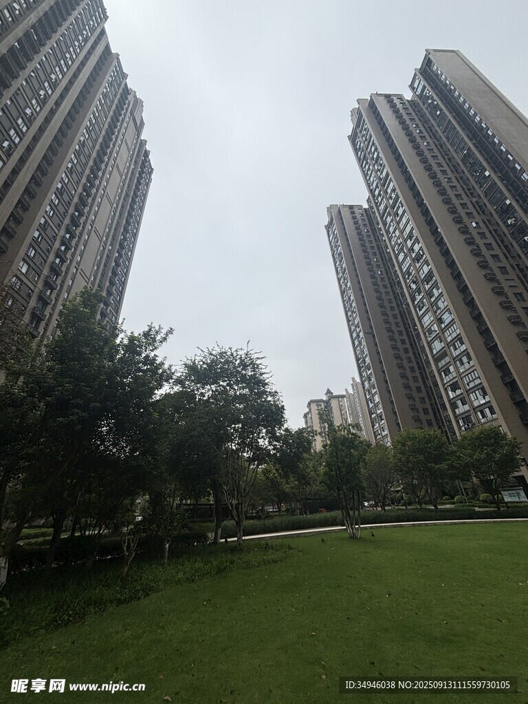 城市小区中的绿地与高楼