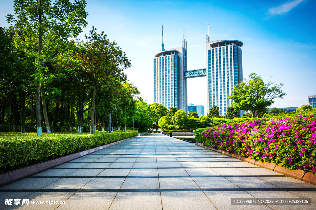 城市繁花伴高楼景观道