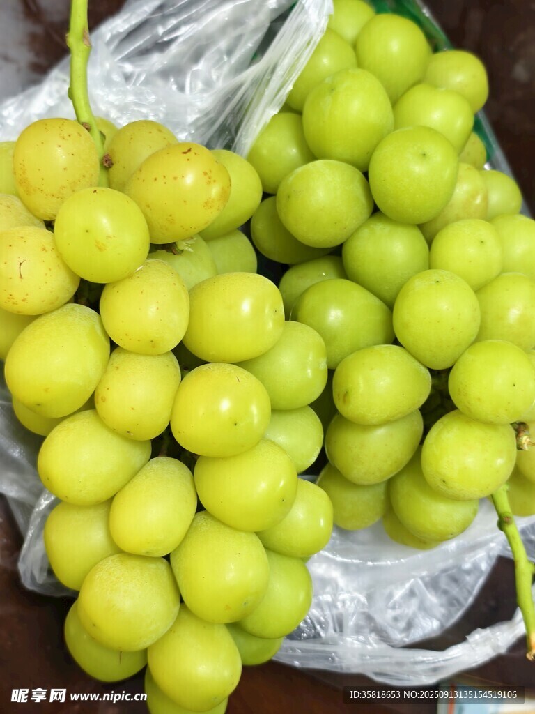 新鲜青葡萄