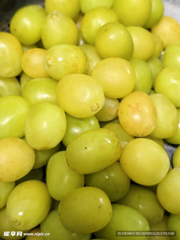 青葡萄