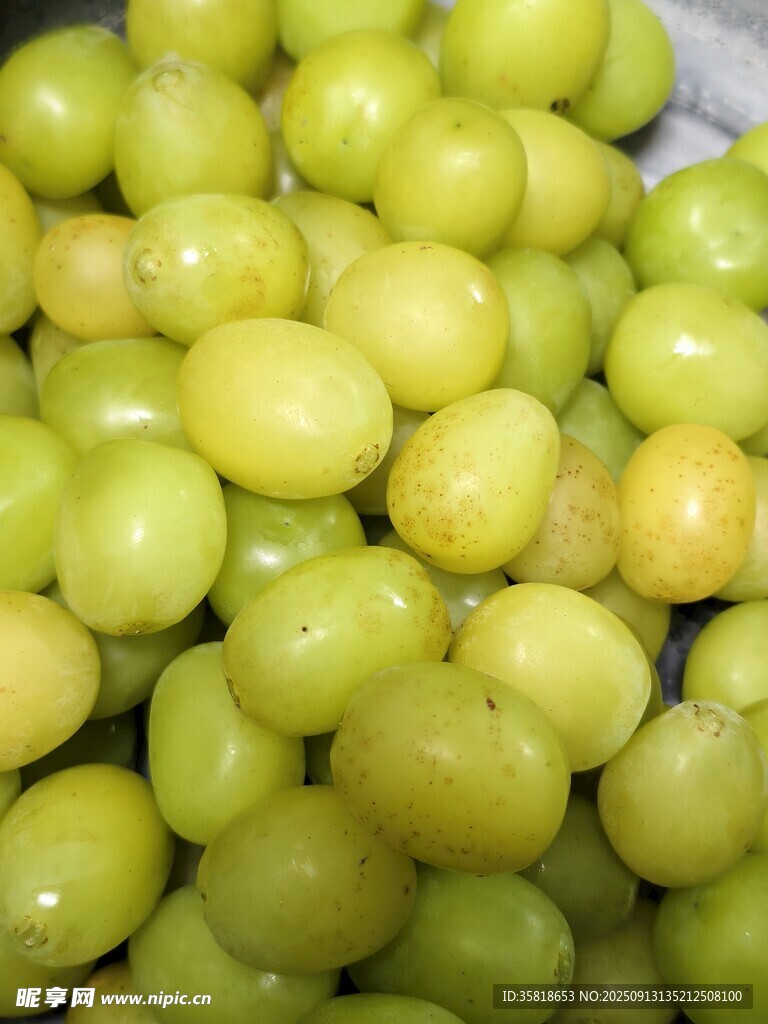 青提