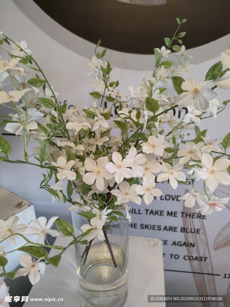 透明花瓶中的素雅白花