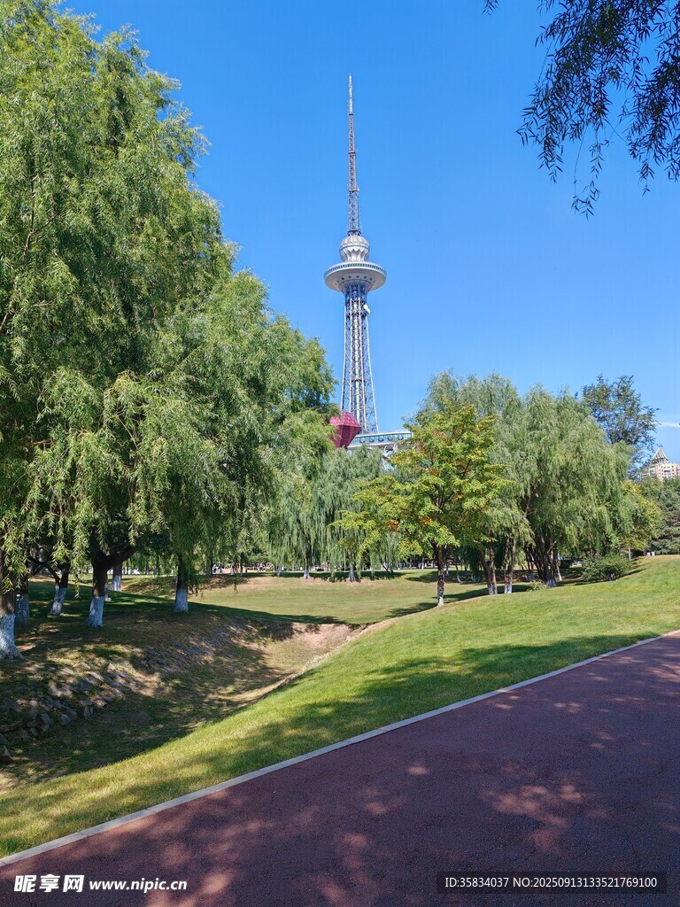 公园绿树间的高塔景观