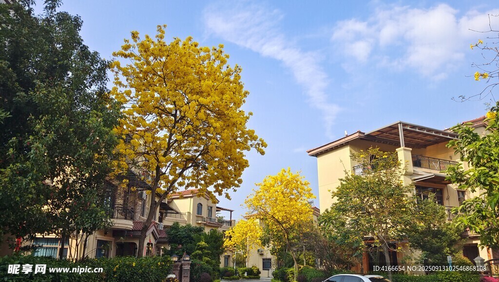 秋日小区美景