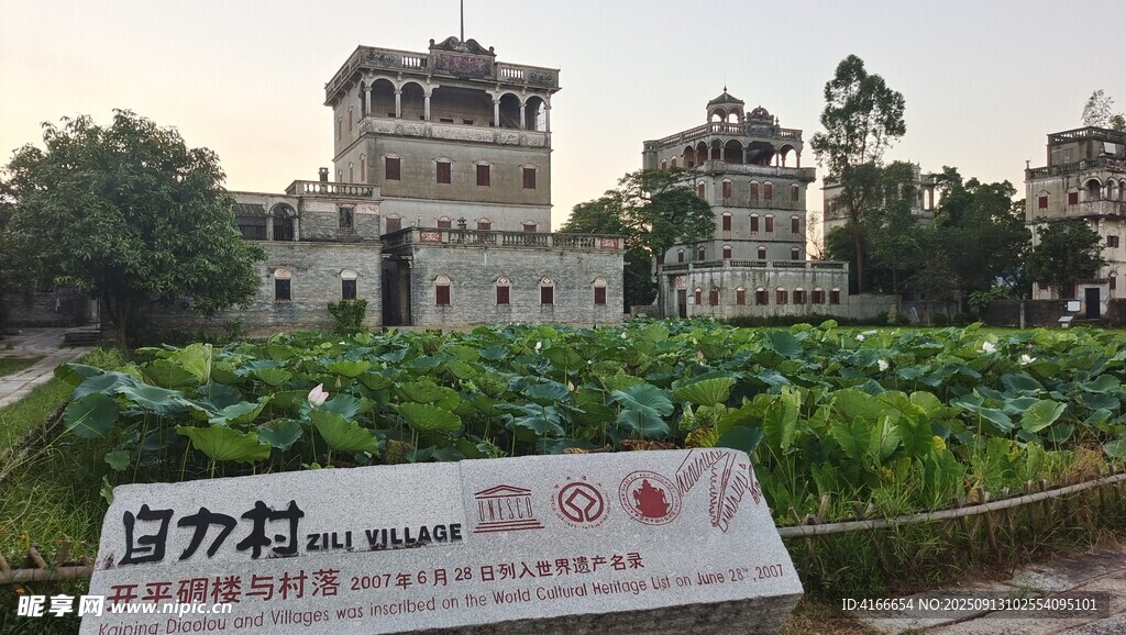 开平碉楼景观自力村世遗荷塘
