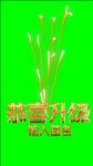 团播恭喜升级特效