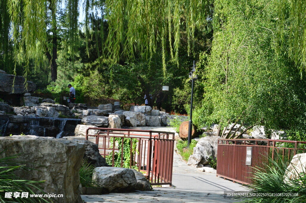 公园风景  