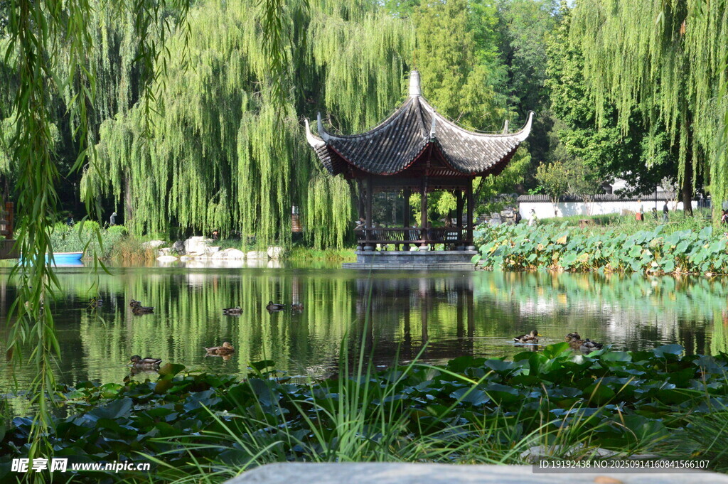 公园风景  