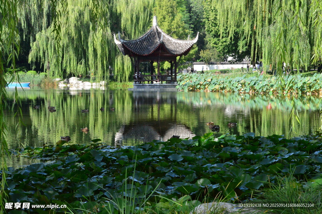 公园风景 