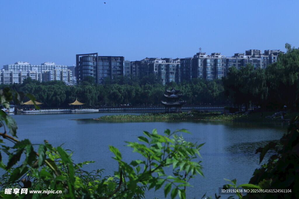公园风景  