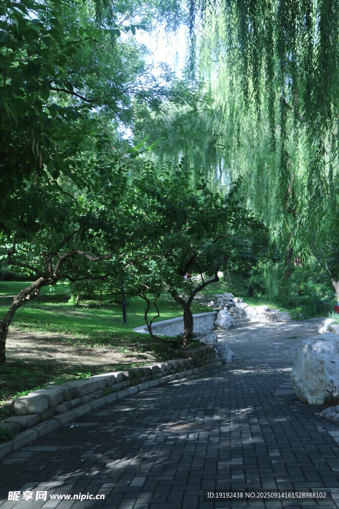 公园风景 