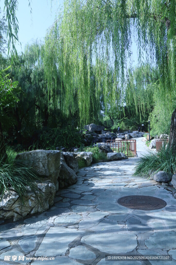 公园风景 