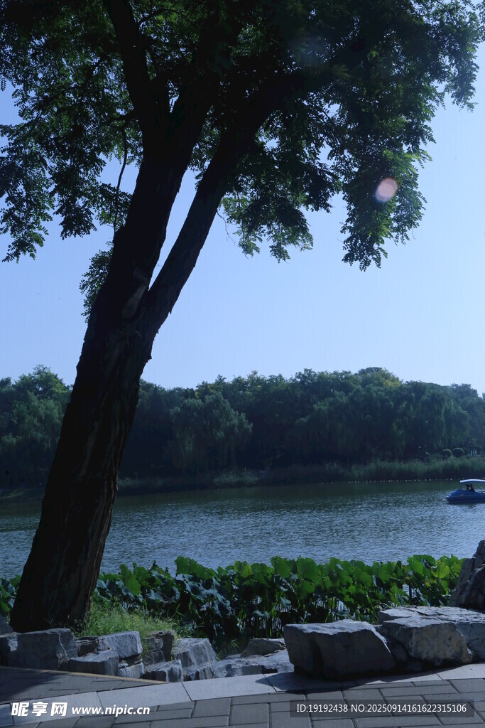 公园风景 