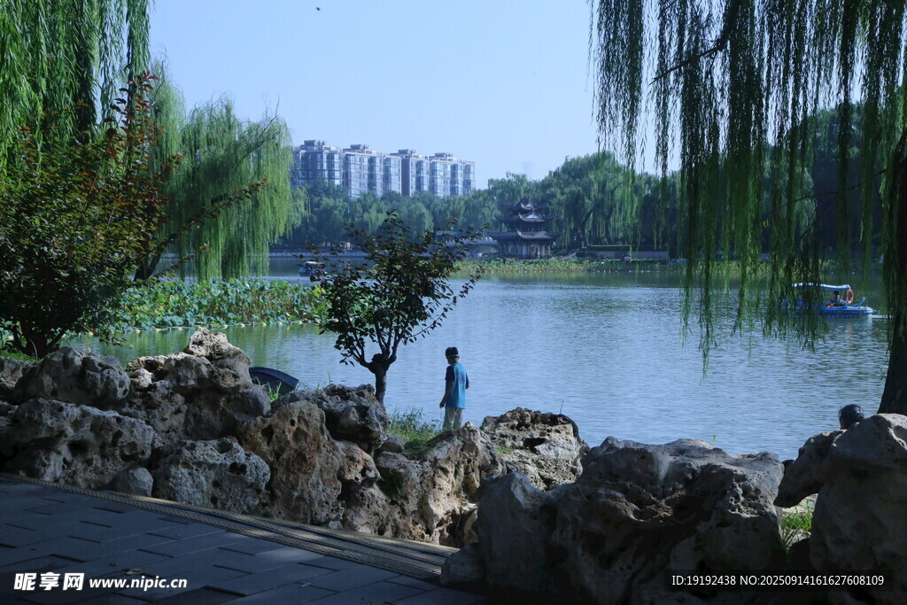公园风景 