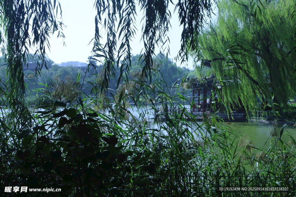 公园风景  