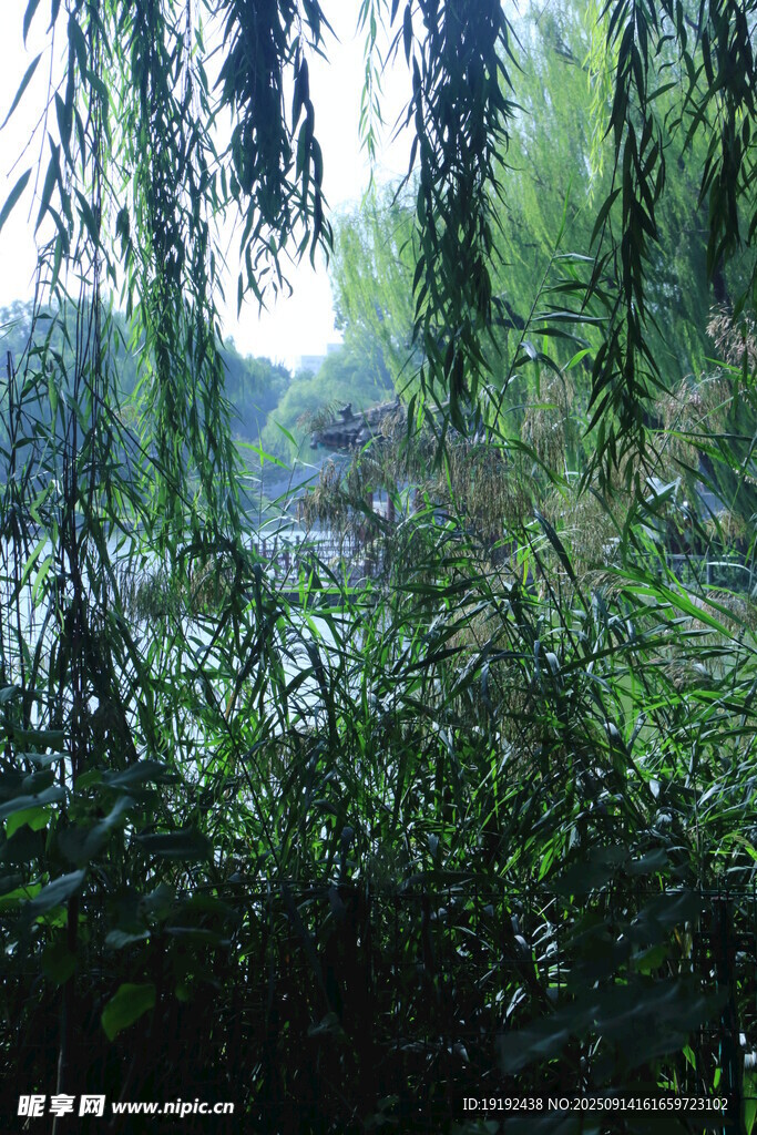 公园风景 