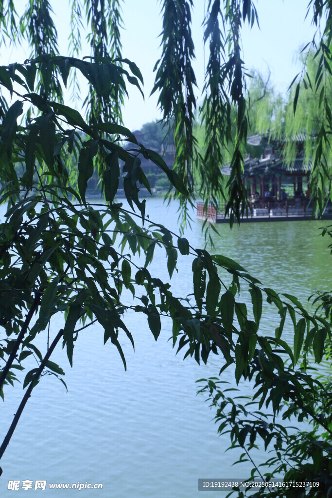 公园风景 