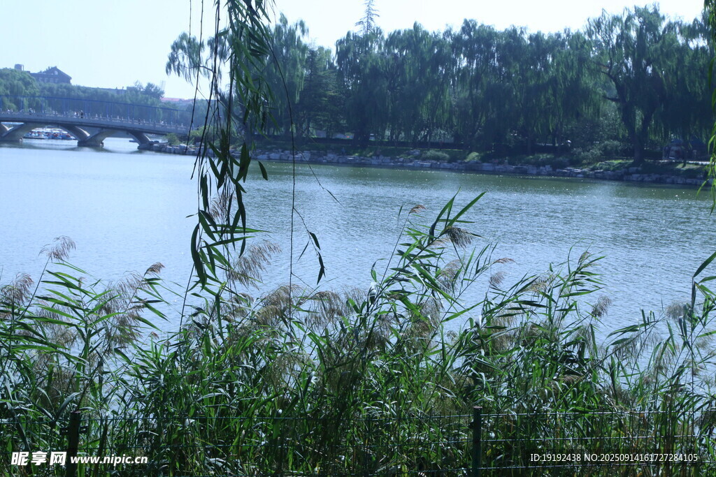 公园风景 