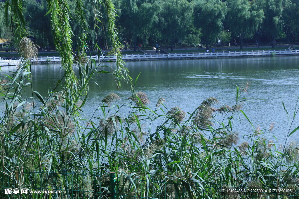 公园风景 