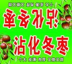 沾化冬枣新鲜上市