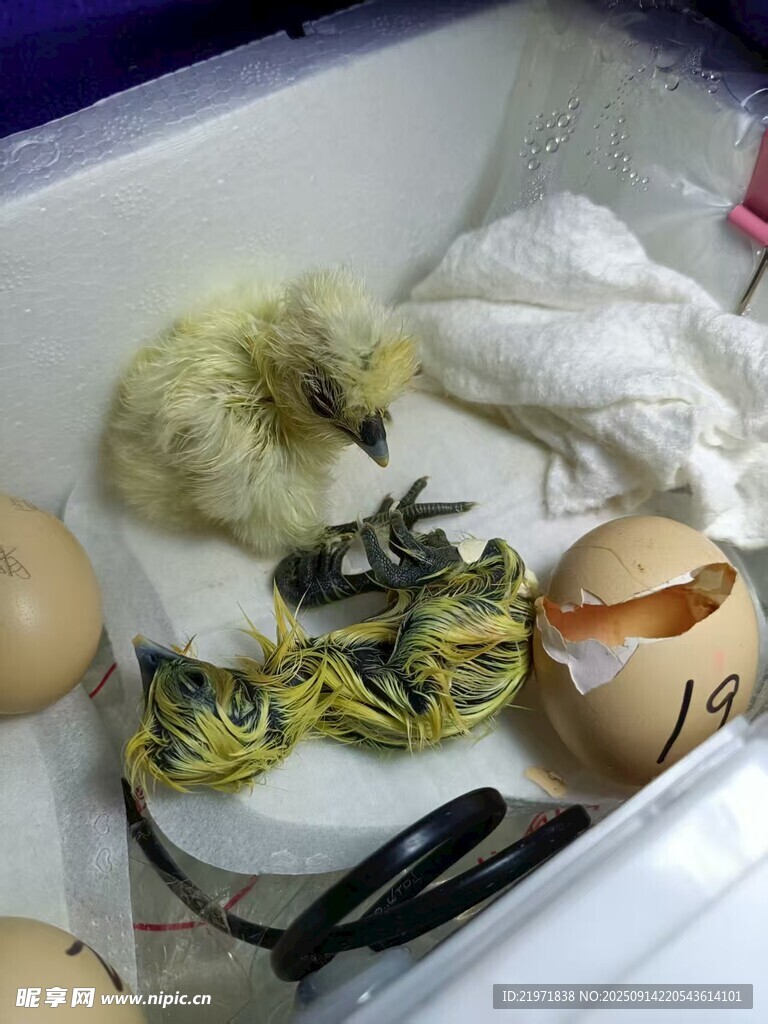 杂乱水槽中的餐具与杂物