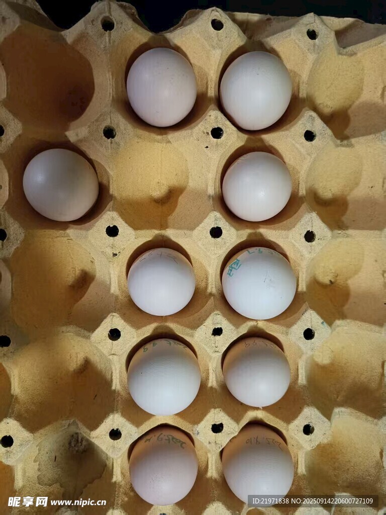 发动机缸体特写