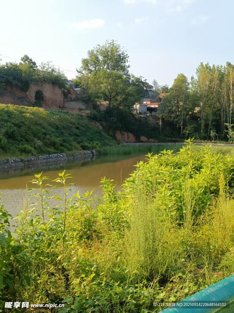 乡村河畔绿意盎然景色