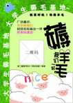 薅羊毛