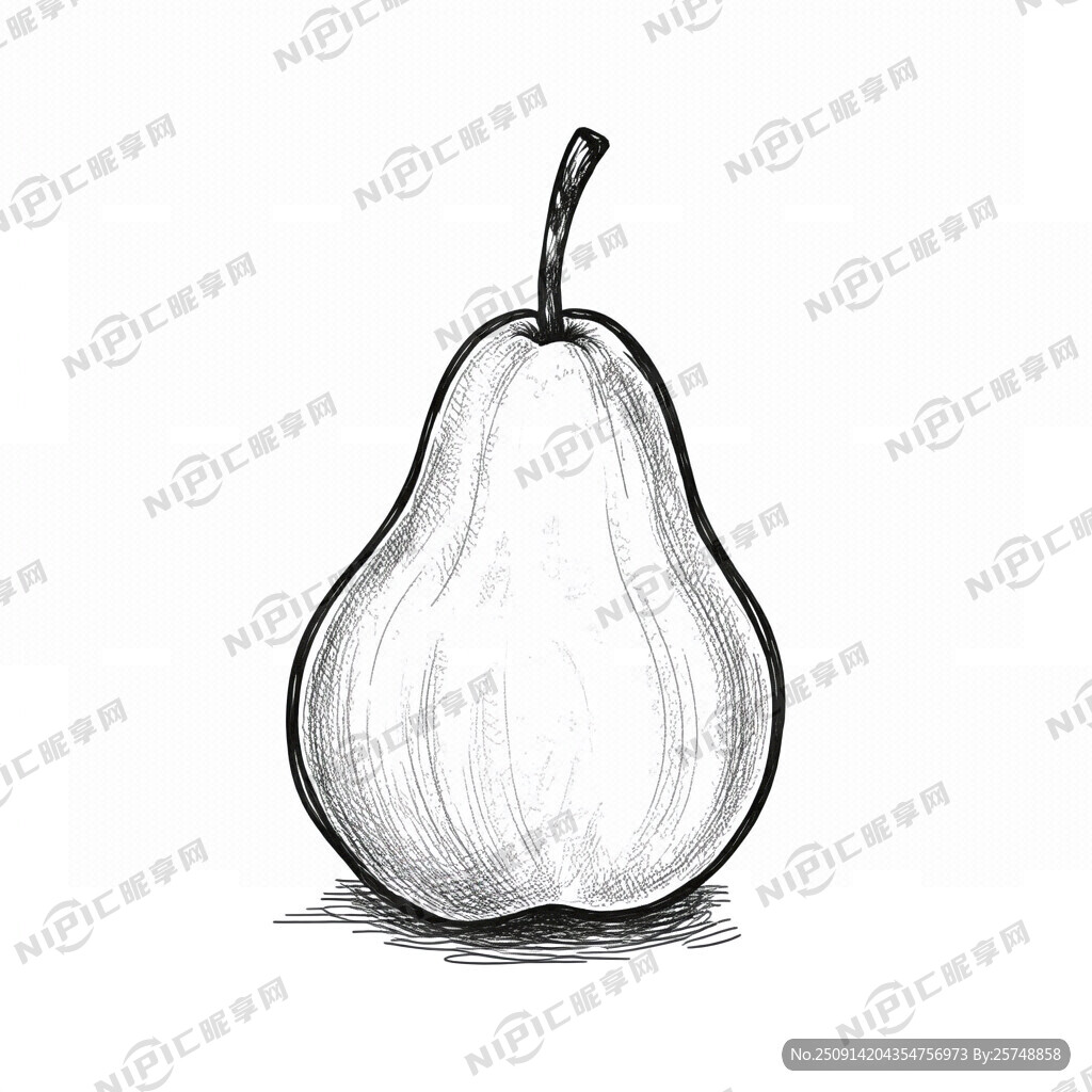 写实 梨  黑白线稿