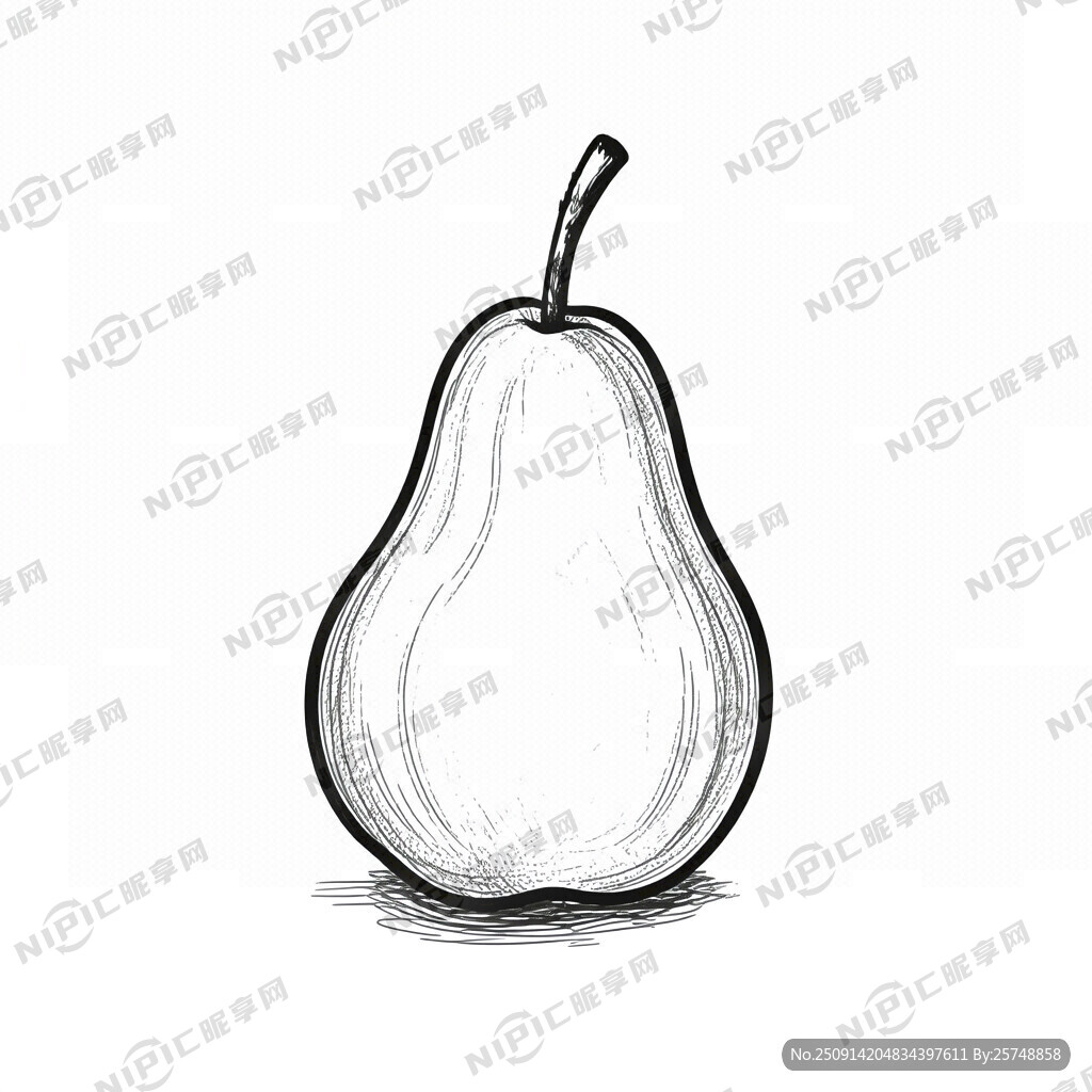 写实 梨 黑白线稿