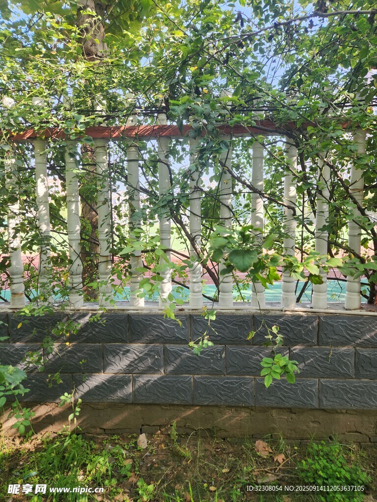 绿树环绕的静谧户外景致