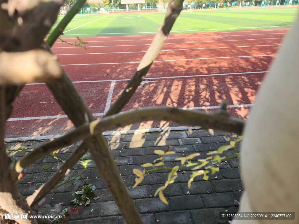 透过树枝看跑道风景