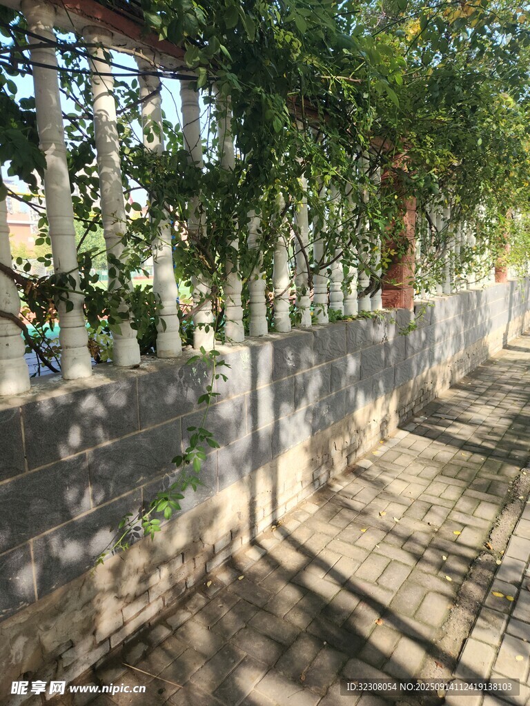 林荫下的砖石小径