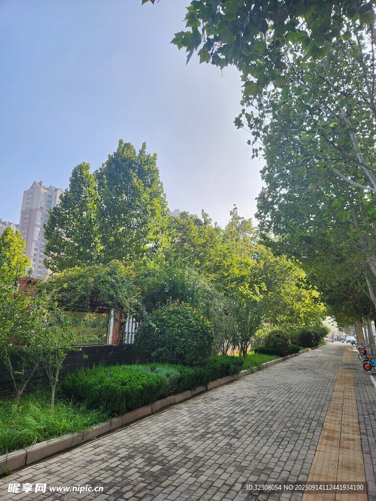 城市林荫步道景观