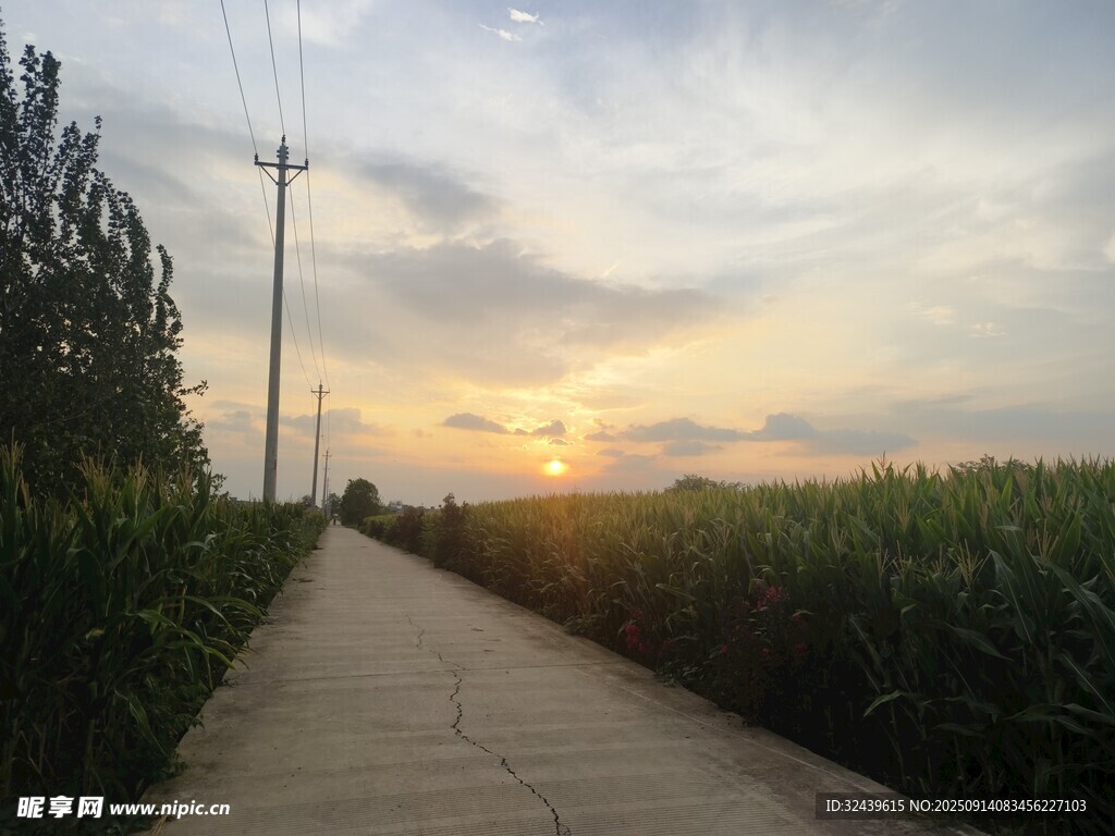 夕阳下的乡间小路