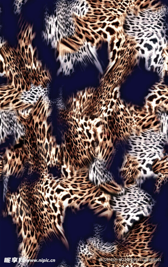豹纹
