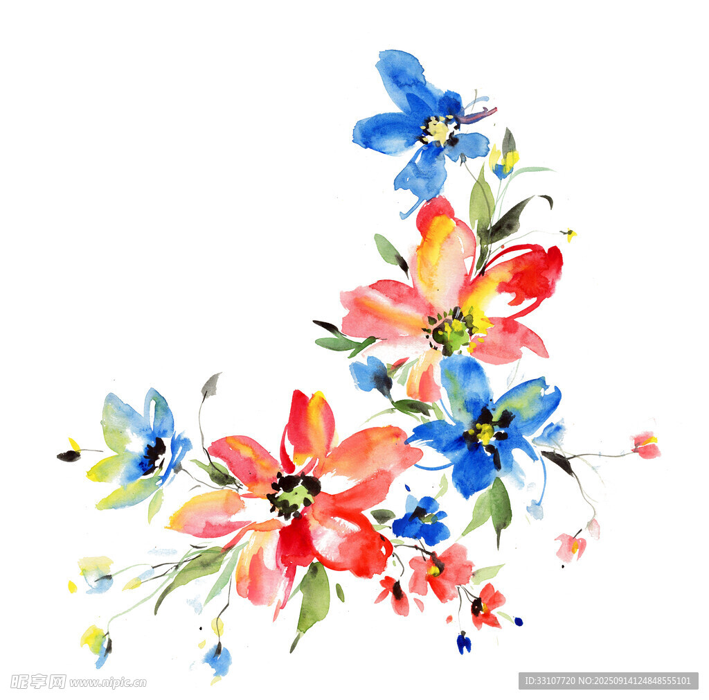 水彩花 