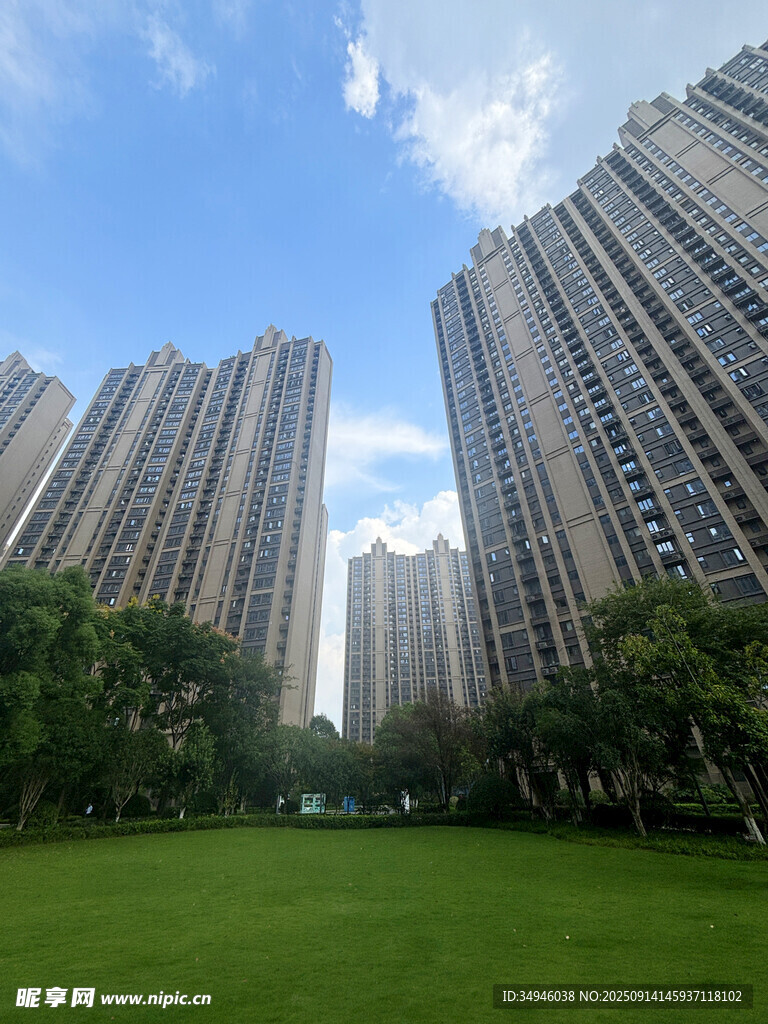 城市高楼旁的翠绿草坪