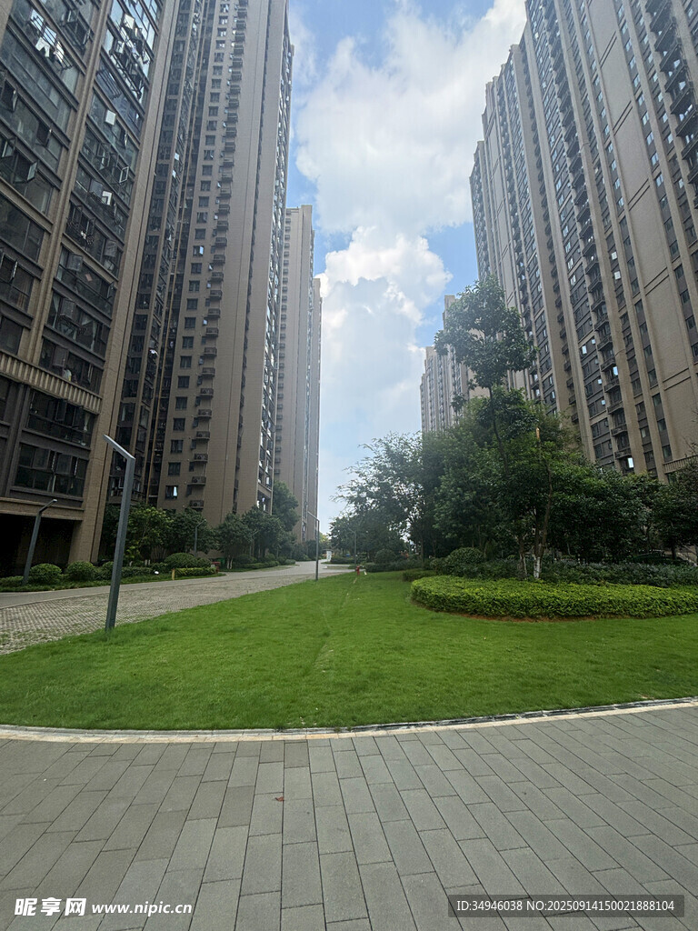城市中高楼间的绿地景观